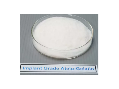 Implant Grade Atelo Gelatin