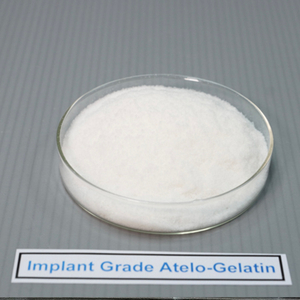 Implant Grade Atelo Gelatin