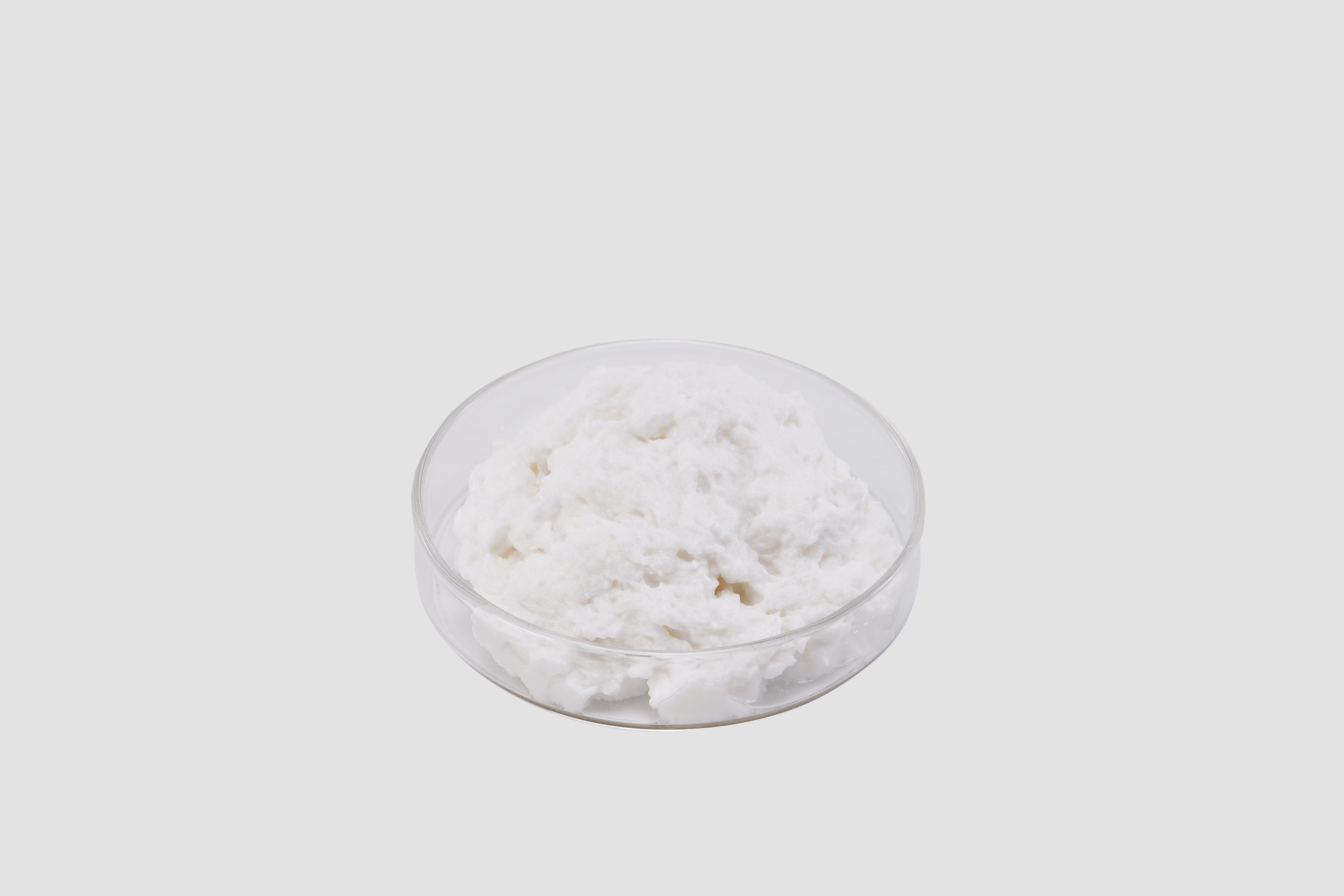 Fibrillar Atelocollagen Slurry 