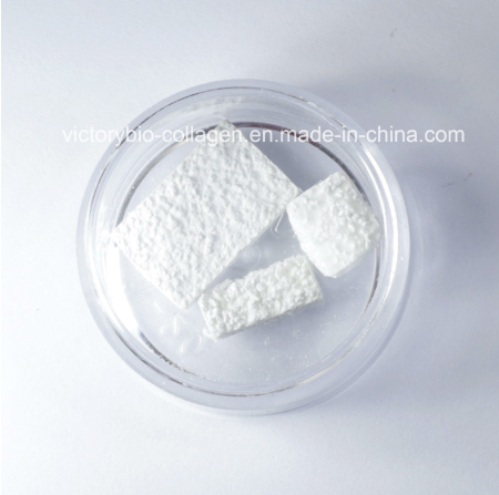 Collagen Bone Graft Substitute - Granule