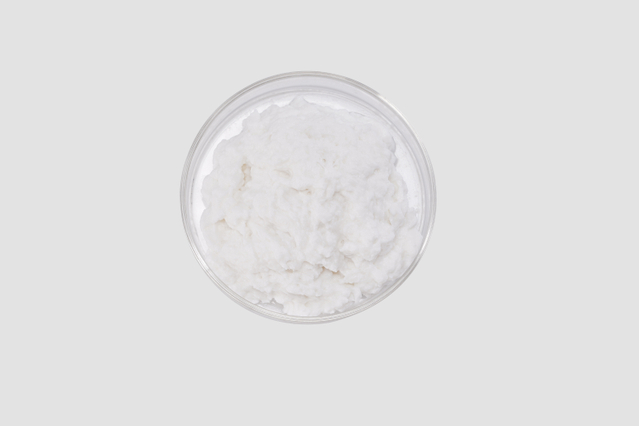 Fibrillar Atelocollagen Slurry 