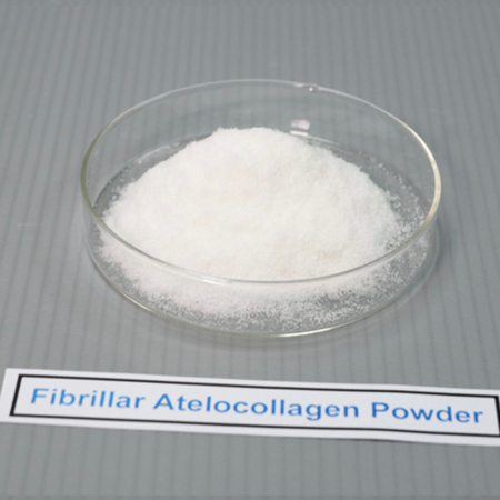 Fibrillar Atelocollagen Powder