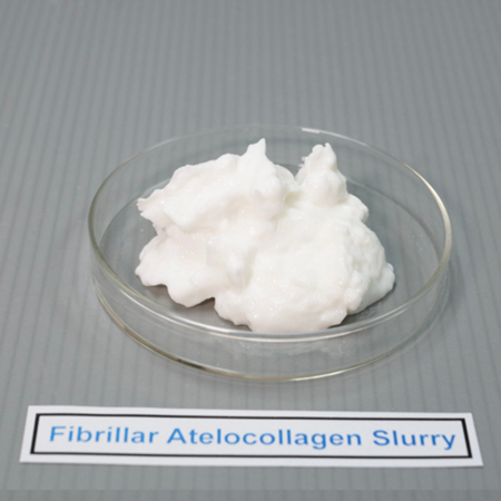 Fibrillar Atelocollagen Slurry