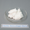 Slurry Fibrillar Medical Grade Collagen