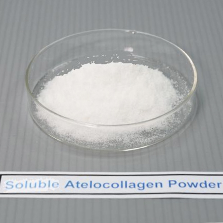 Soluble Atelocollagen Powder
