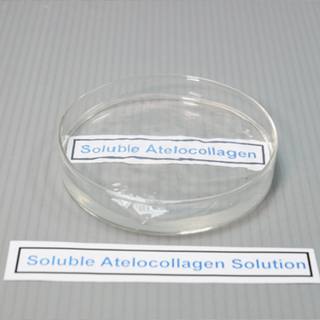 Soluble Atelocollagen Solution