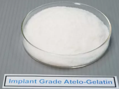 Implant Grade Atelo Gelatin