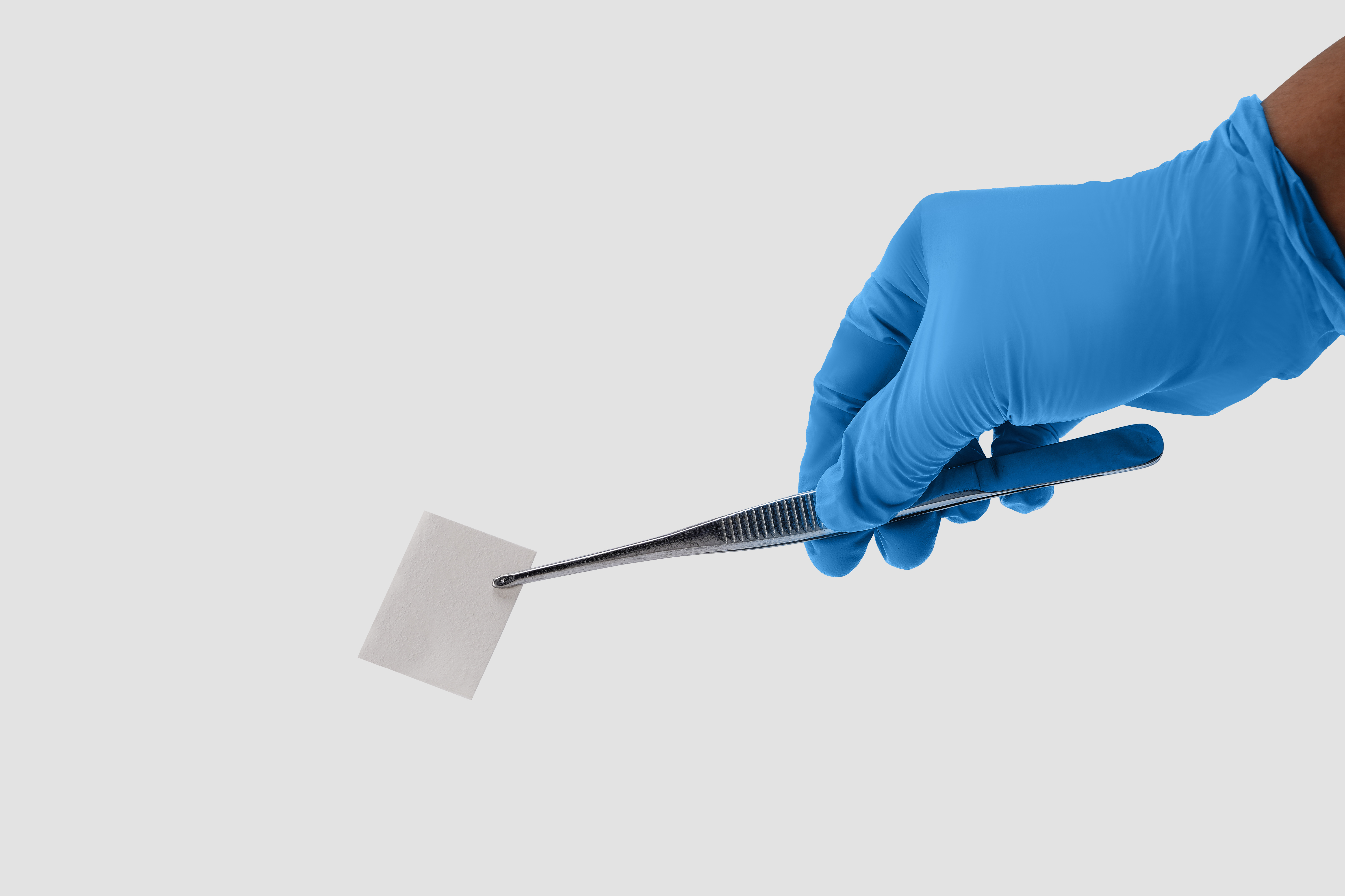 Exploring the Role of Collagen in Alveolar Bone and Tissue Regeneration