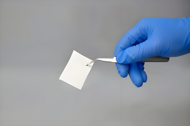 Unflavored Protein Collagen Membrane 