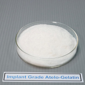 Implant Grade Atelo-Gelatin去端肽植入级明胶粉.png