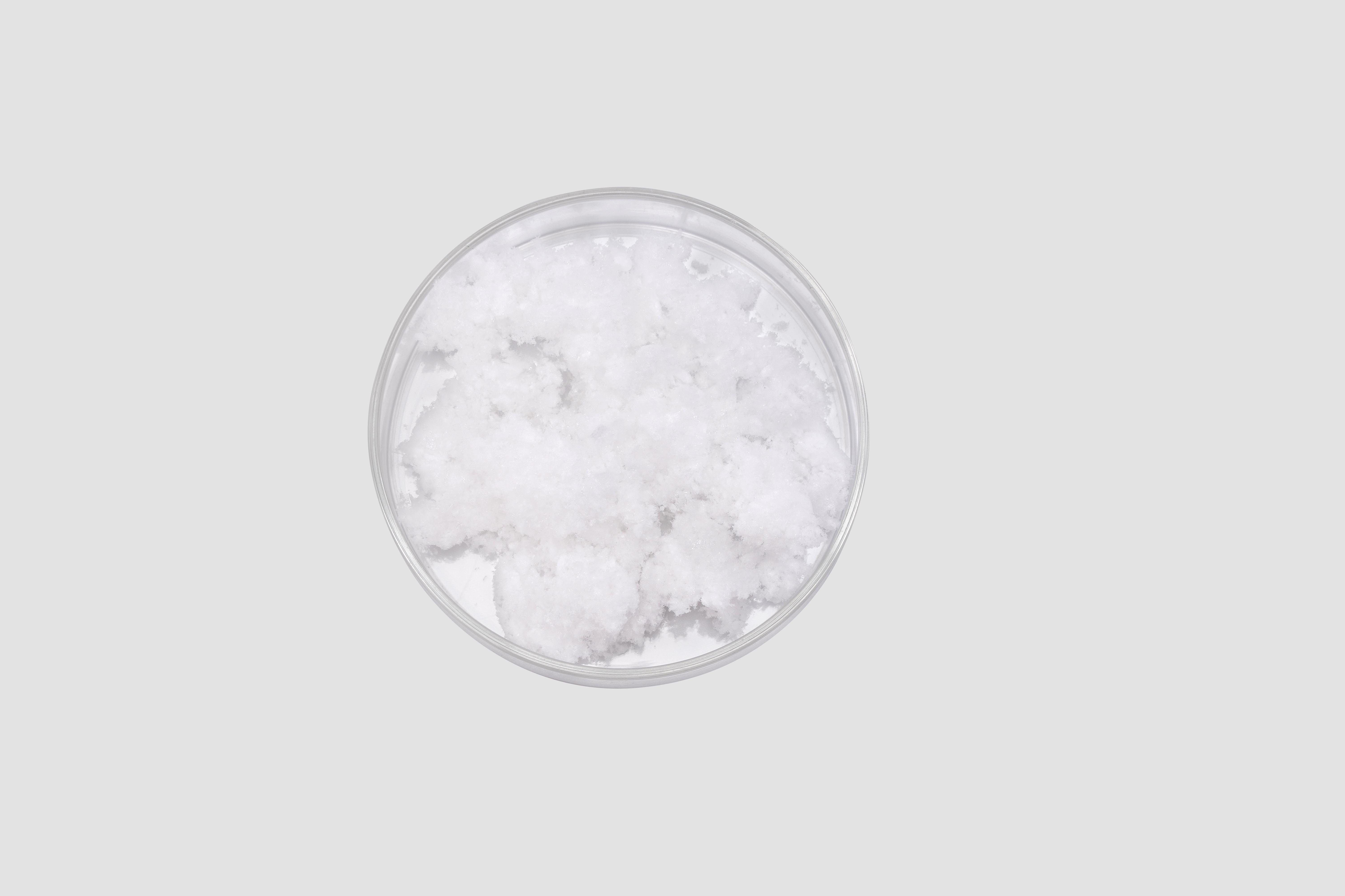Evaluating Atelocollagen Composite Performance in Tissue Engineering